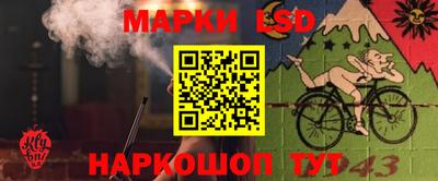 PSILOCYBIN Ижевск